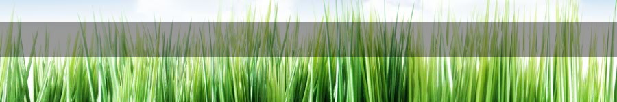 Middle Tennessee Center for Alternative Medicine